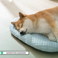 Load image into Gallery viewer, The Cooling Pet Bed
