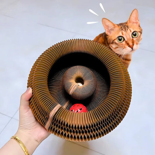 Interactive Cat Scratching Toy