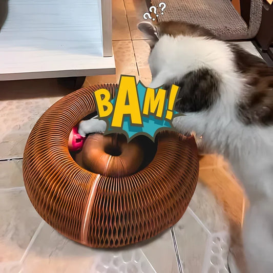 Interactive Cat Scratching Toy