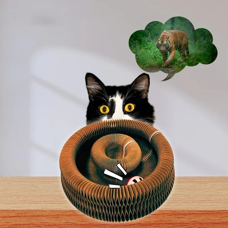 Interactive Cat Scratching Toy