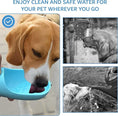 Load image into Gallery viewer, Dog Water Bottle 19oz Large Capacity with Food Container & Built in Filter
